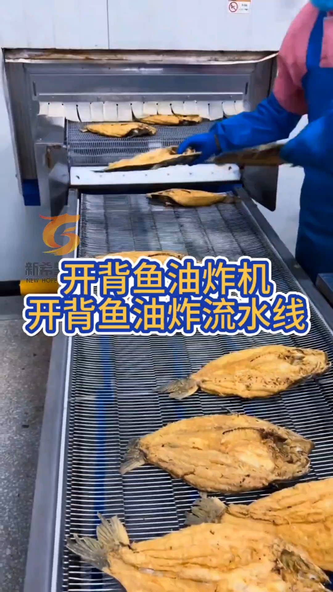 开背烤鱼油炸机,开背鱼油炸生产线