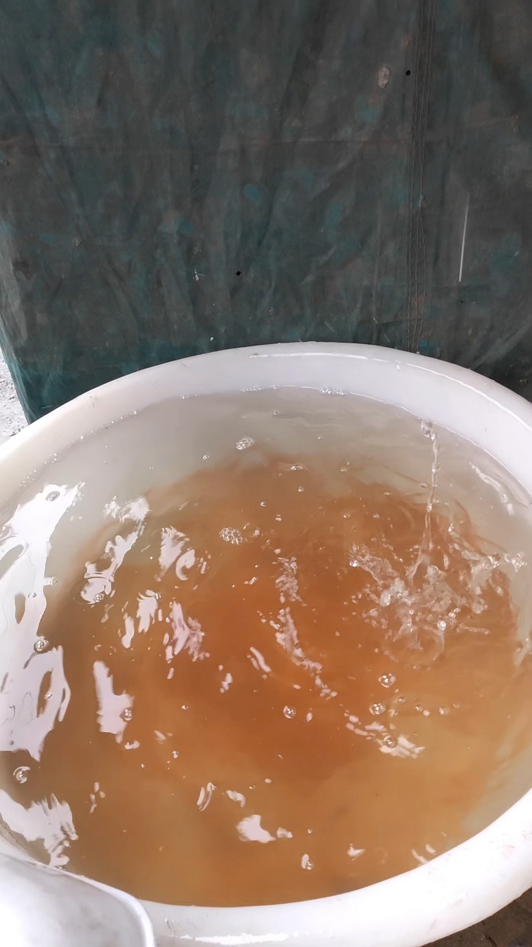 连续下了2天大雨,干不了农活,煮个温州美食素面打蛋