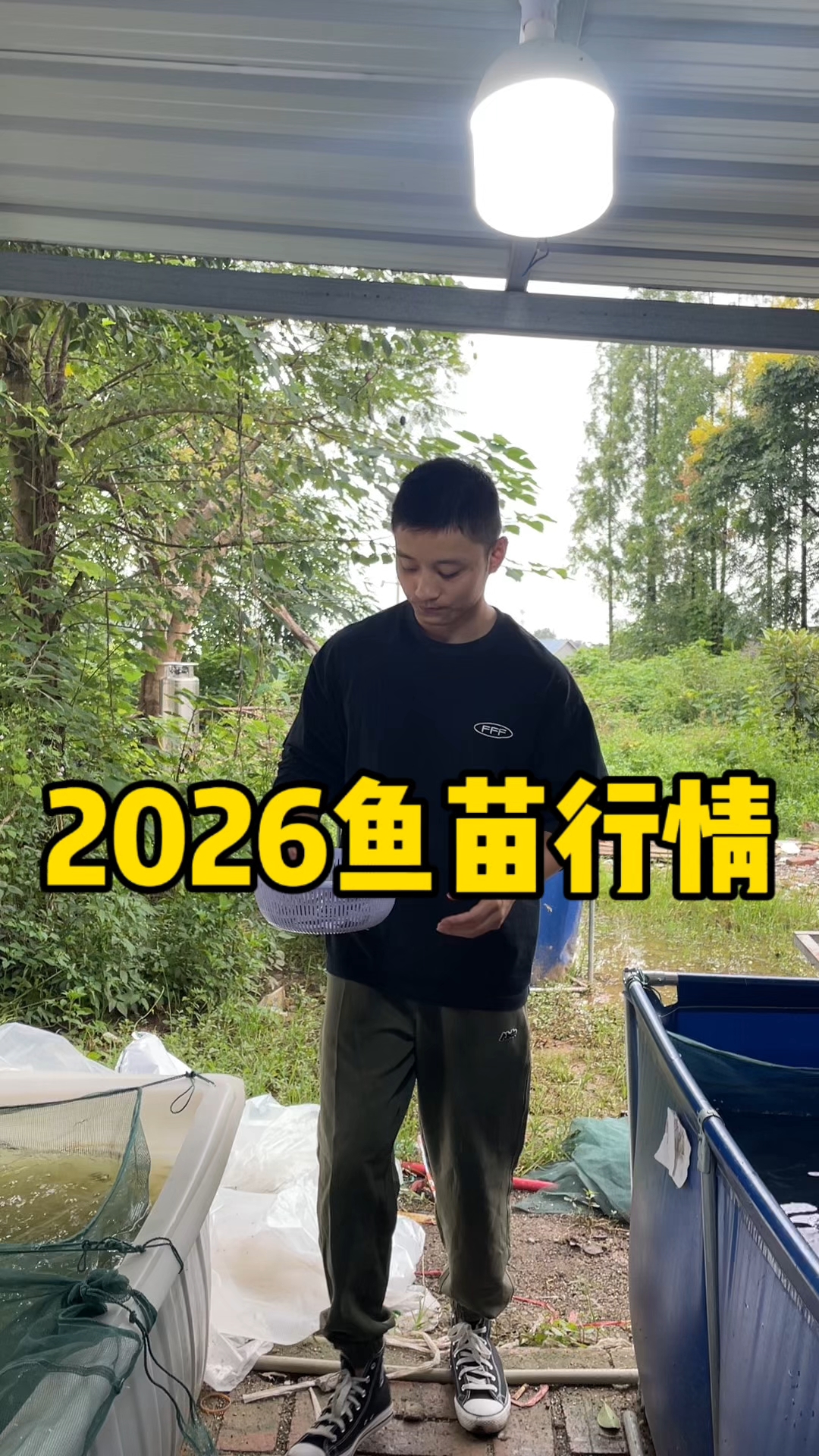 万万没想到鱼苗行情这样了