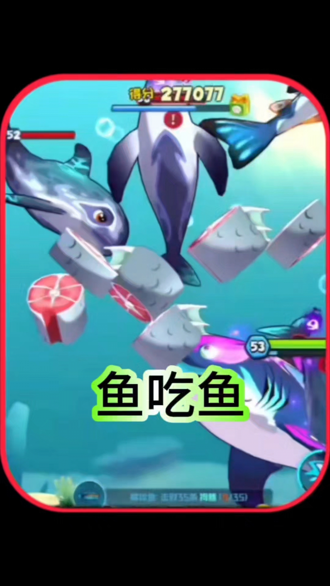 鱼吃鱼,这巨齿鲨也太勇猛了吧!