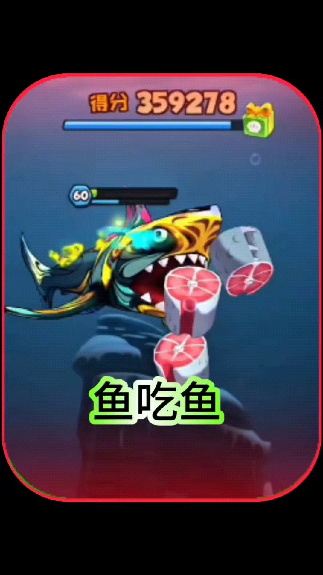 鱼吃鱼,强大的巨齿鲨