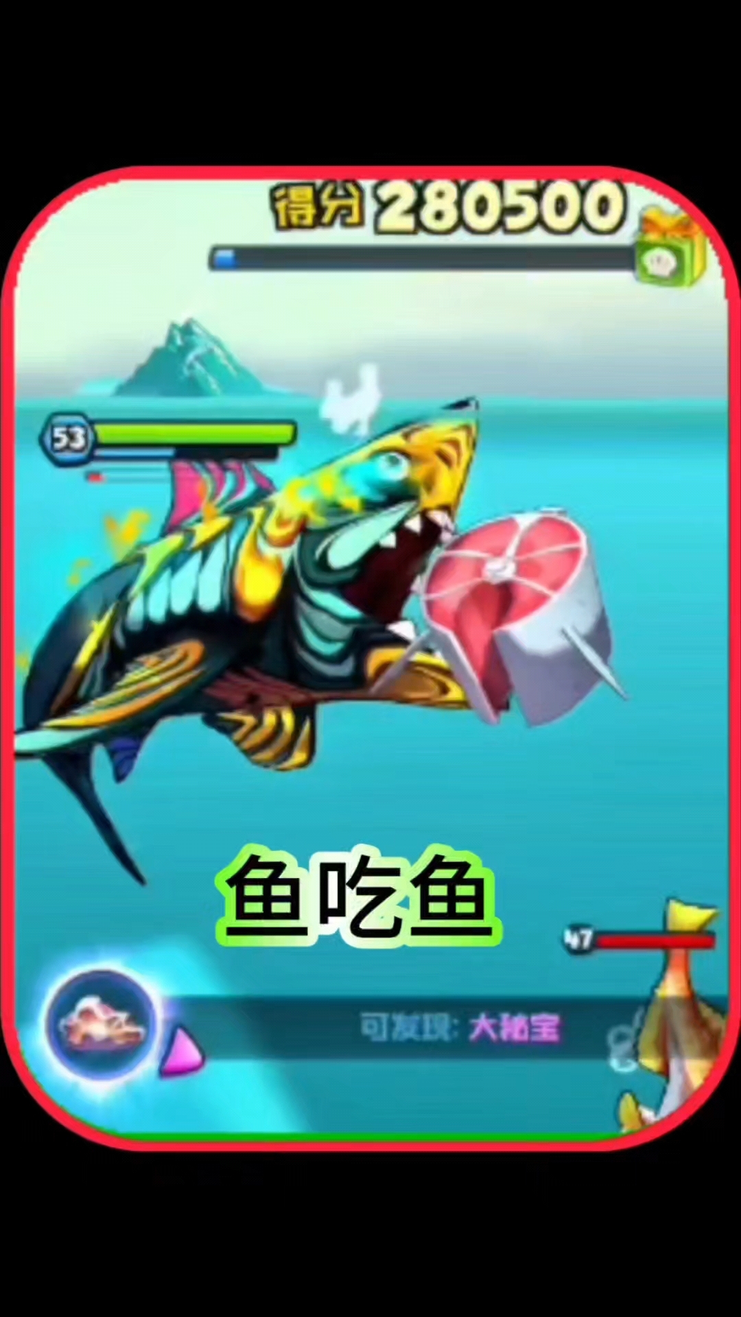 鱼吃鱼,xo凶狠的巨齿鲨
