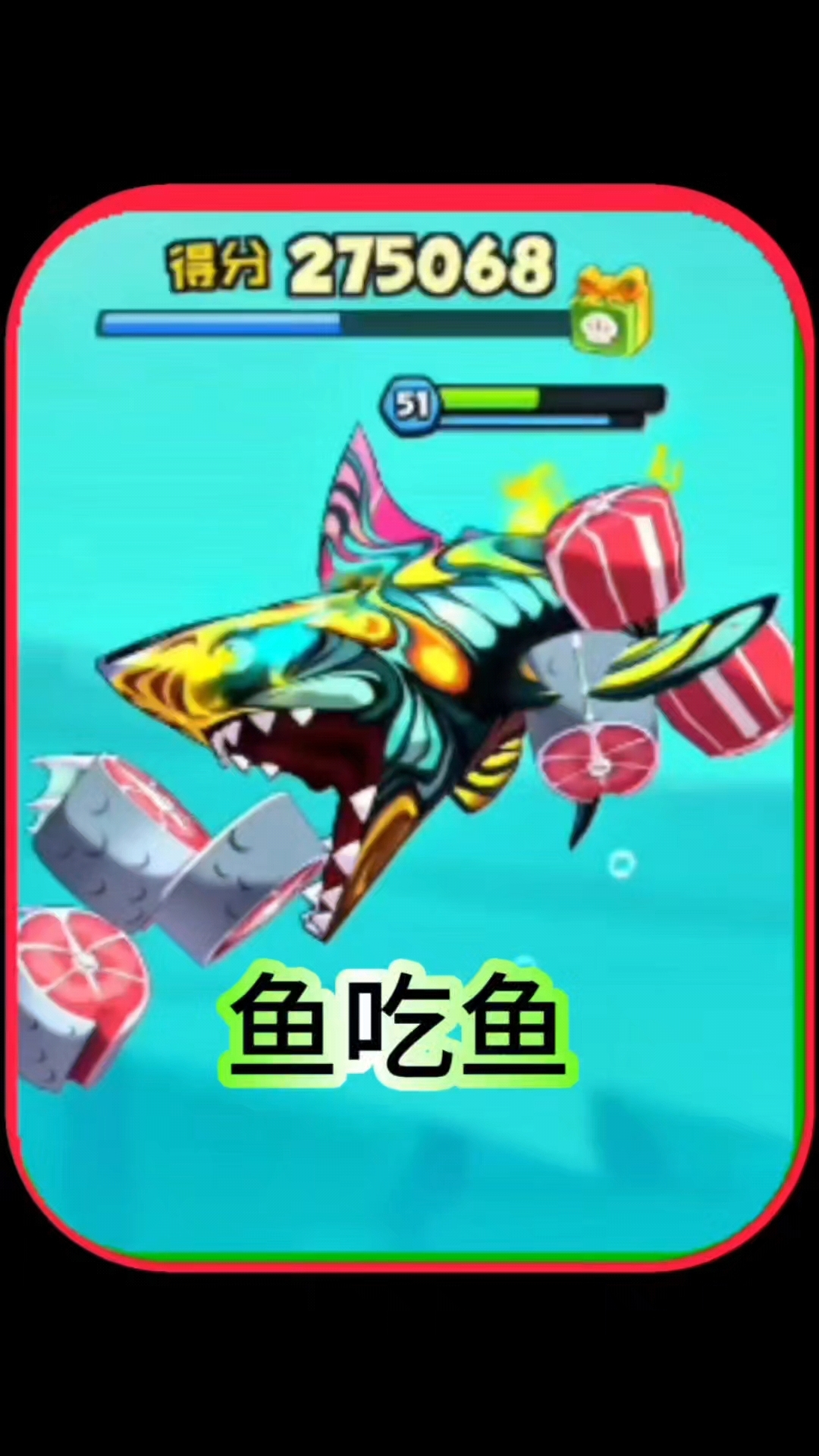 鱼吃鱼,强大的巨齿鲨