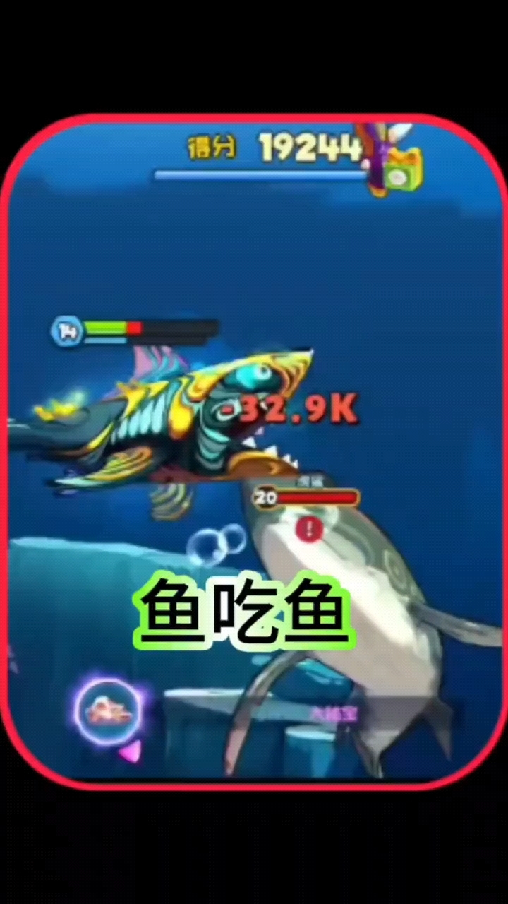 鱼吃鱼,巨齿鲨