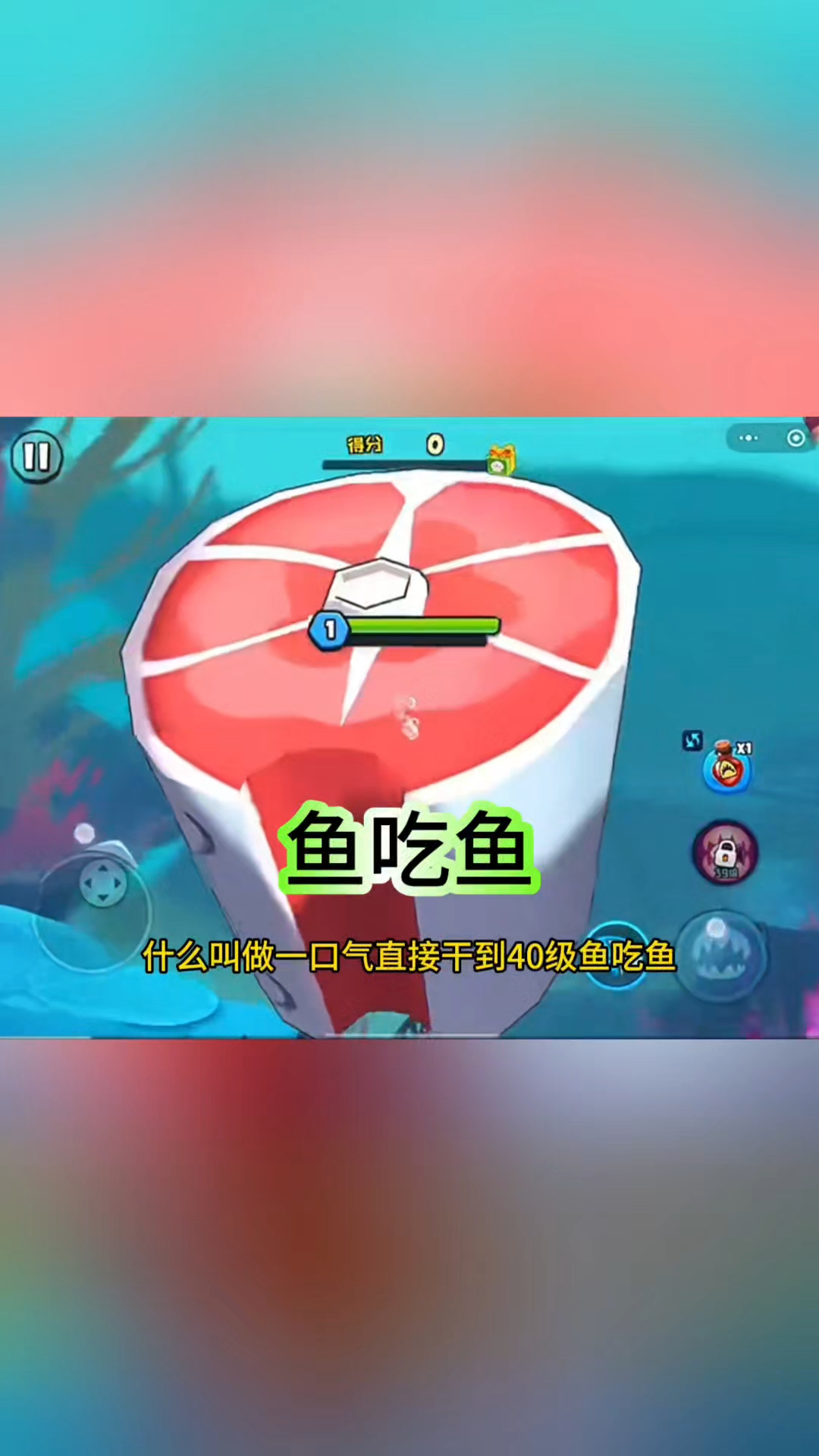 鱼吃鱼，有大肉