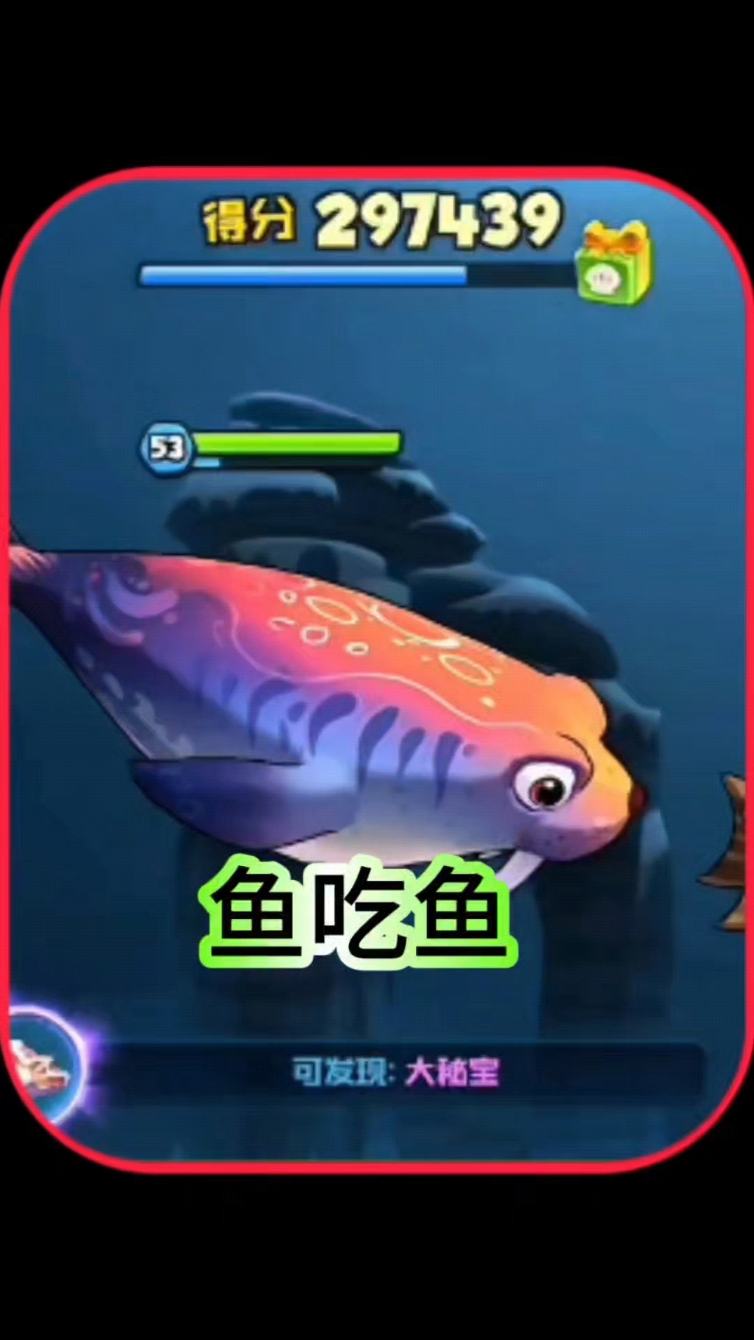 鱼吃鱼,太平洋海象