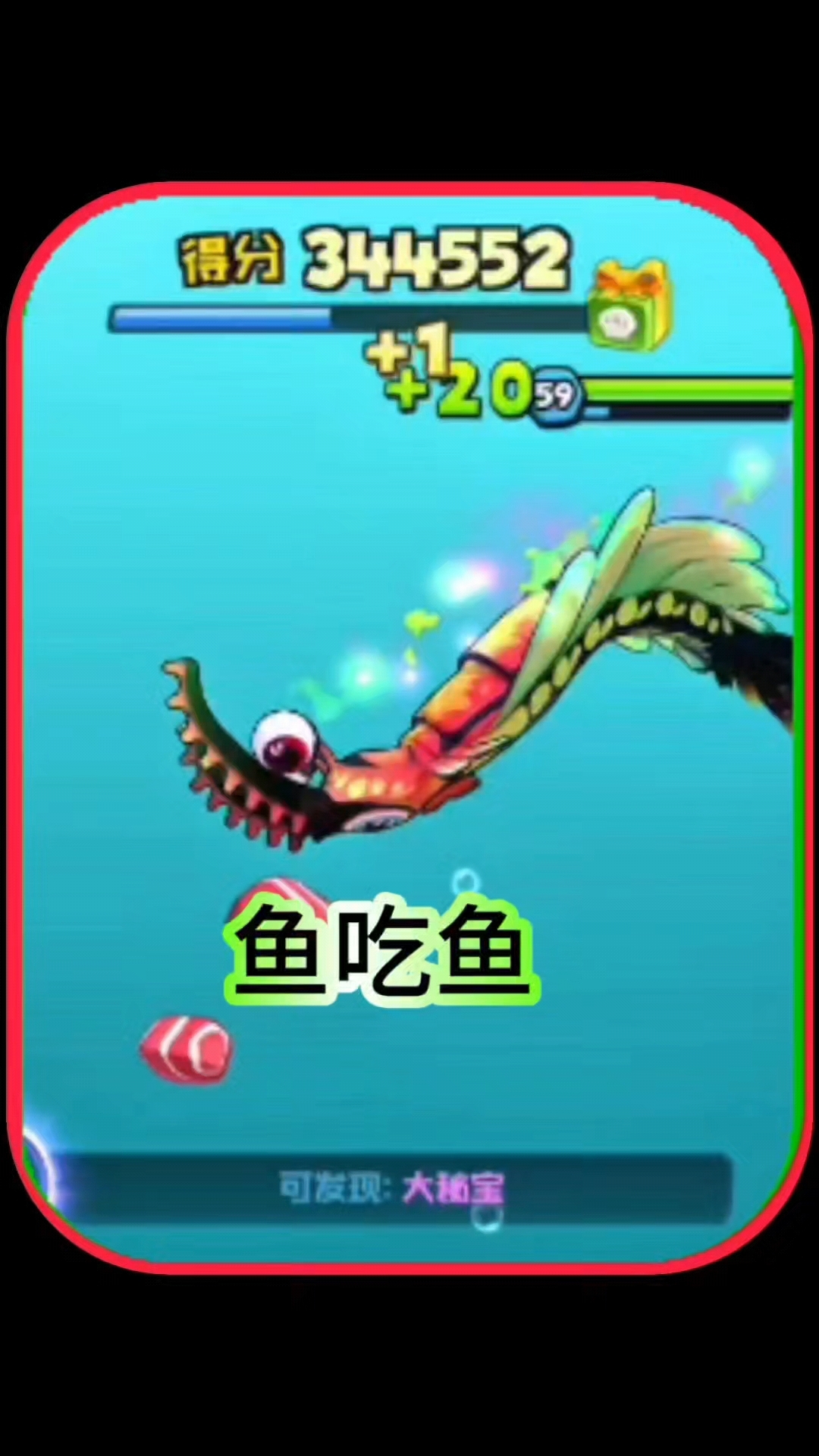 鱼吃鱼,恐怖的大奇虾