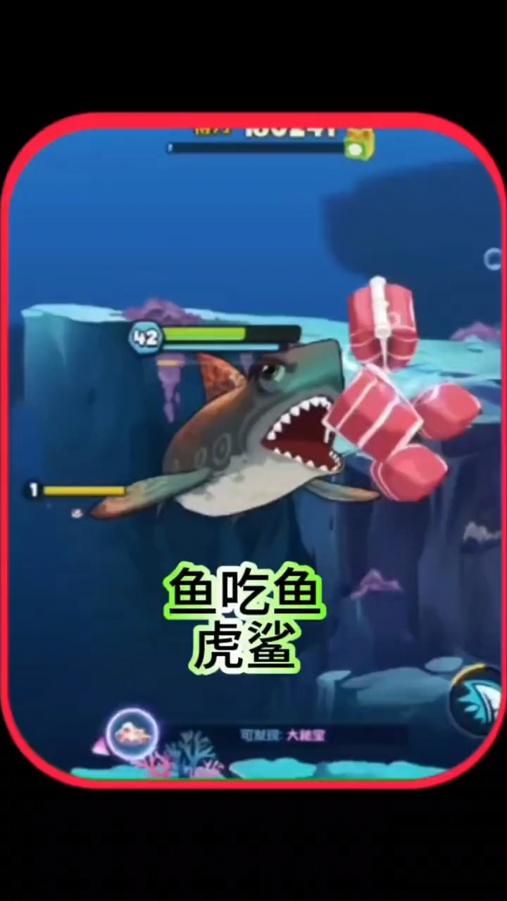 鱼吃鱼虎鲨
