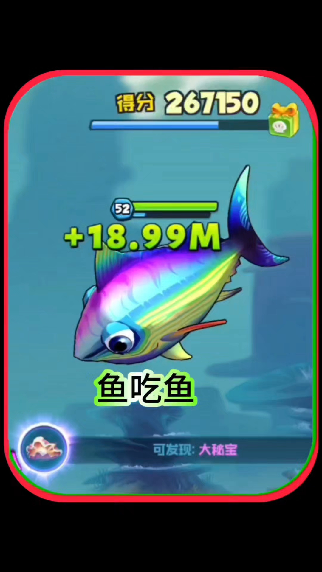 鱼吃鱼,炮弹鱼