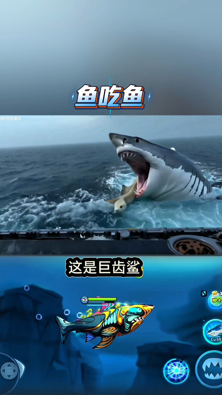 鱼吃鱼