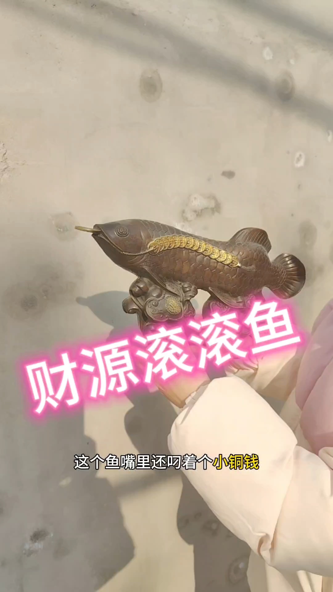 #老物件#鱼