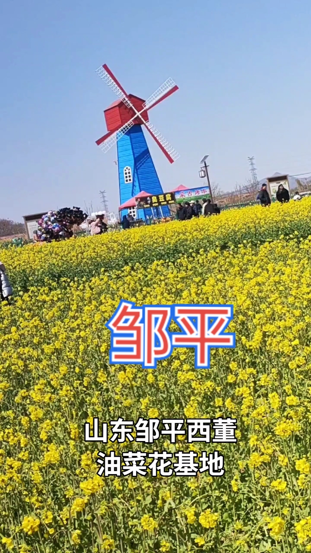 画里的美景在邹平完美呈现,快来邹平西董打卡油菜花海