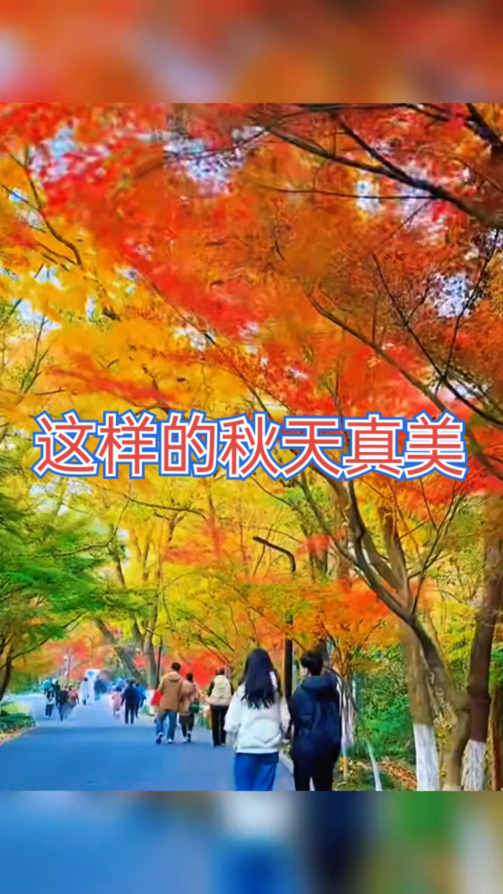秋天的风景,宛如色彩斑斓的画