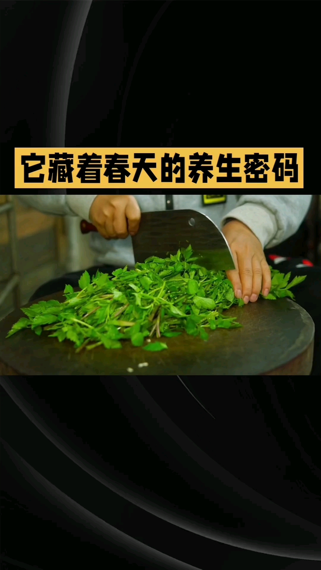 春天野菜养生密码