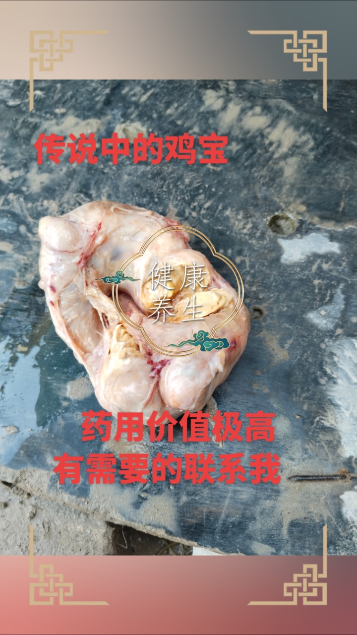 传说中的鸡宝,是否有人看上的,或者建议