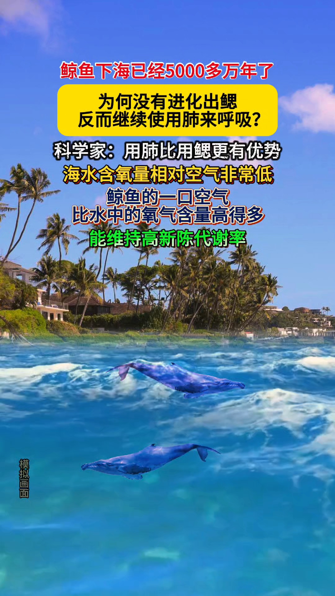 鲸鱼在海洋生活5000多万年,为何还没进化出鳃,反而用肺呼吸