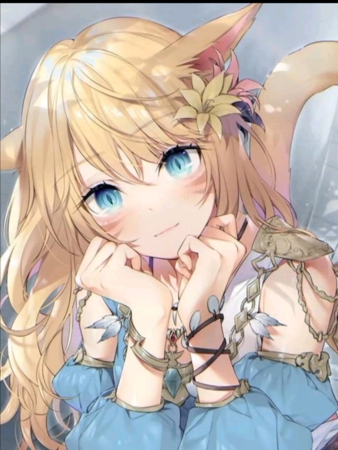 二次元壁纸(不喜勿喷)