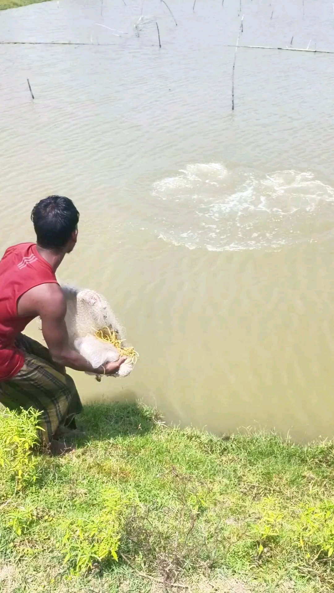 冒泡冒泡了，这应该鱼不小