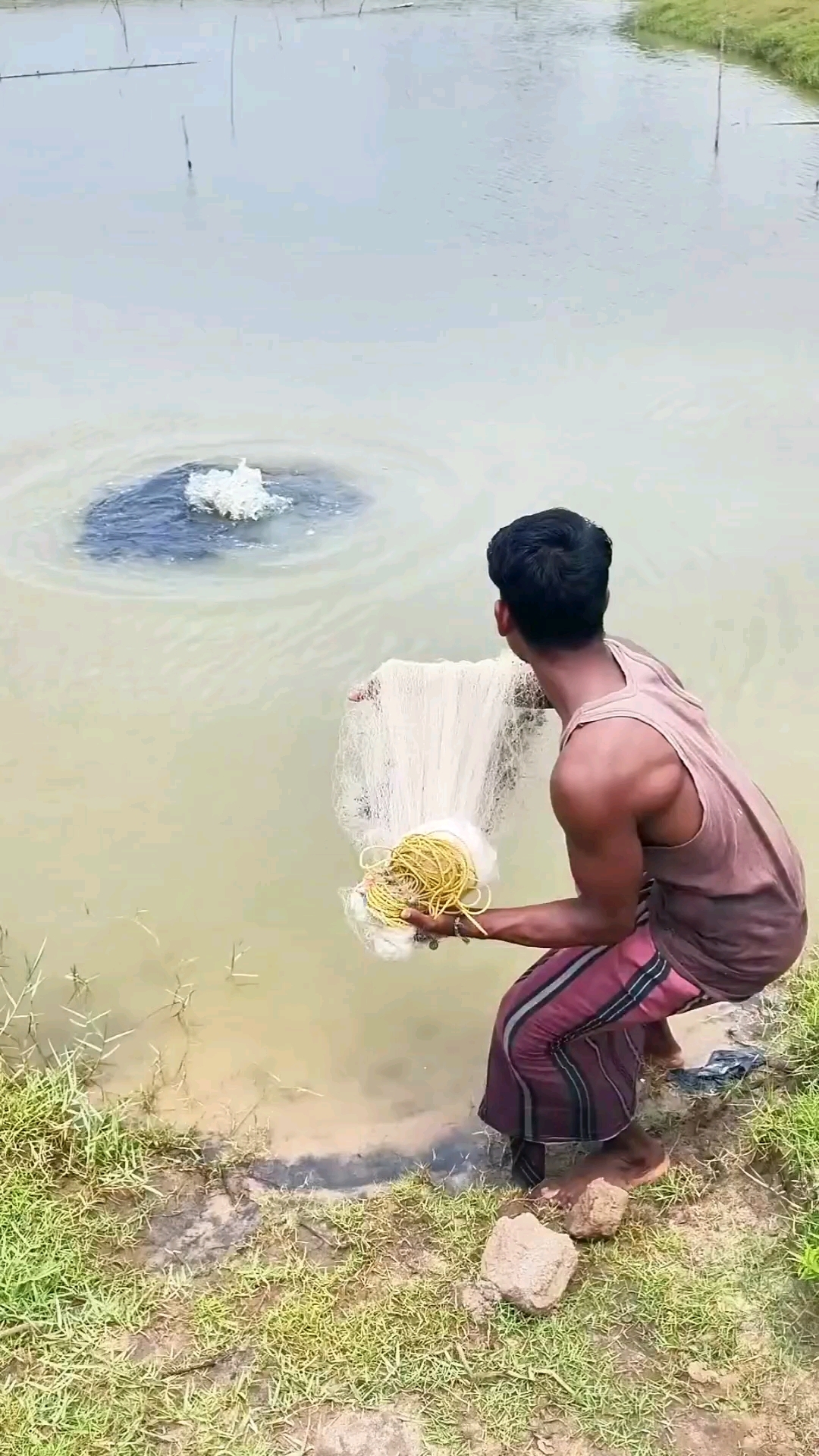 冒泡冒泡了这鱼应该很大