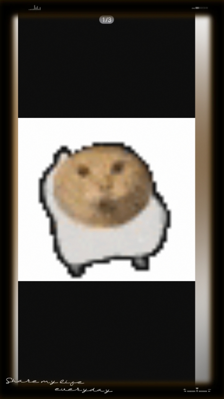 猫咪头像,第一弹。