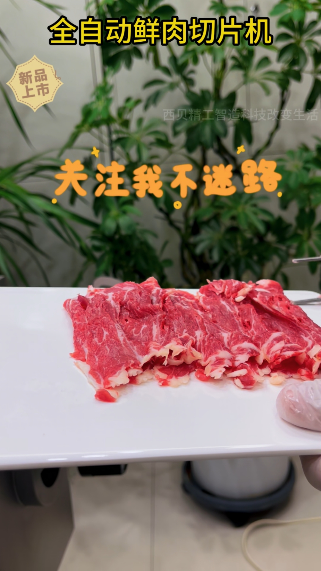 智能仿手工鲜肉切片机 #仿手工智能鲜肉切肉机 #鲜牛羊肉切片