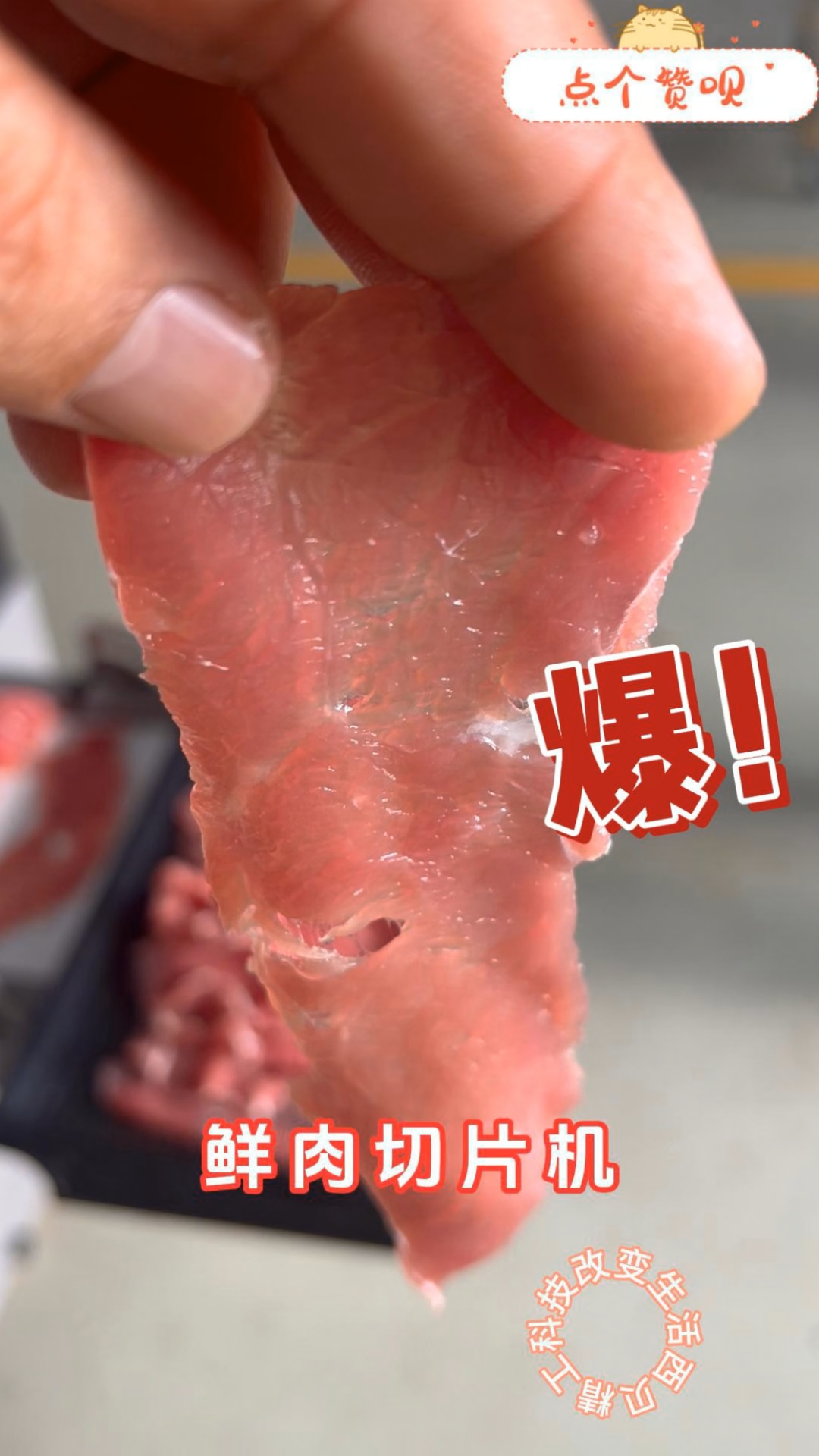 #鲜肉切片机#鲜牛羊肉切片机#潮汕牛肉火锅#火锅店切肉机#鲜