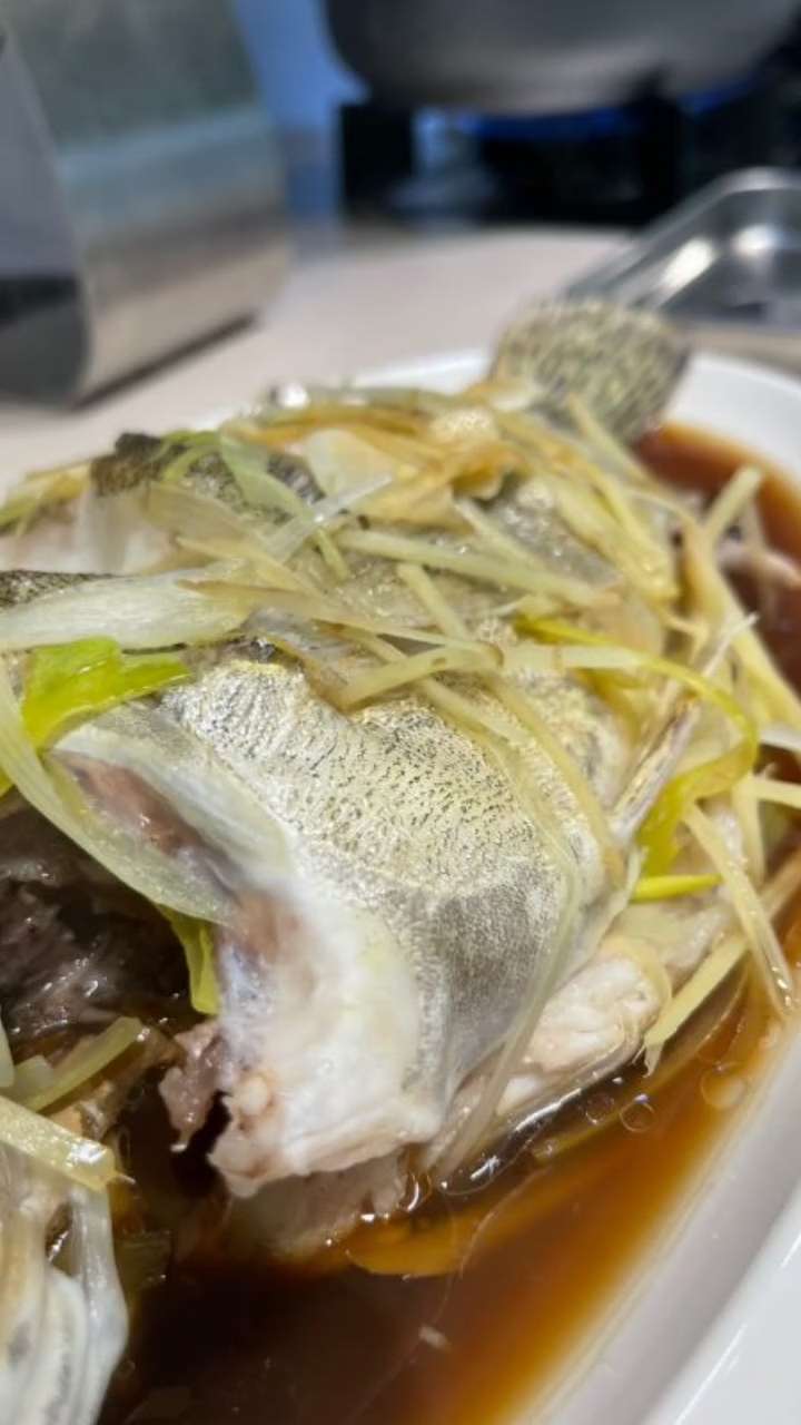 北极夜光珍珠贝扇贝王鱼鲈鱼鳊鱼黄鱼嘎鱼鲶鱼鳝鱼海螺