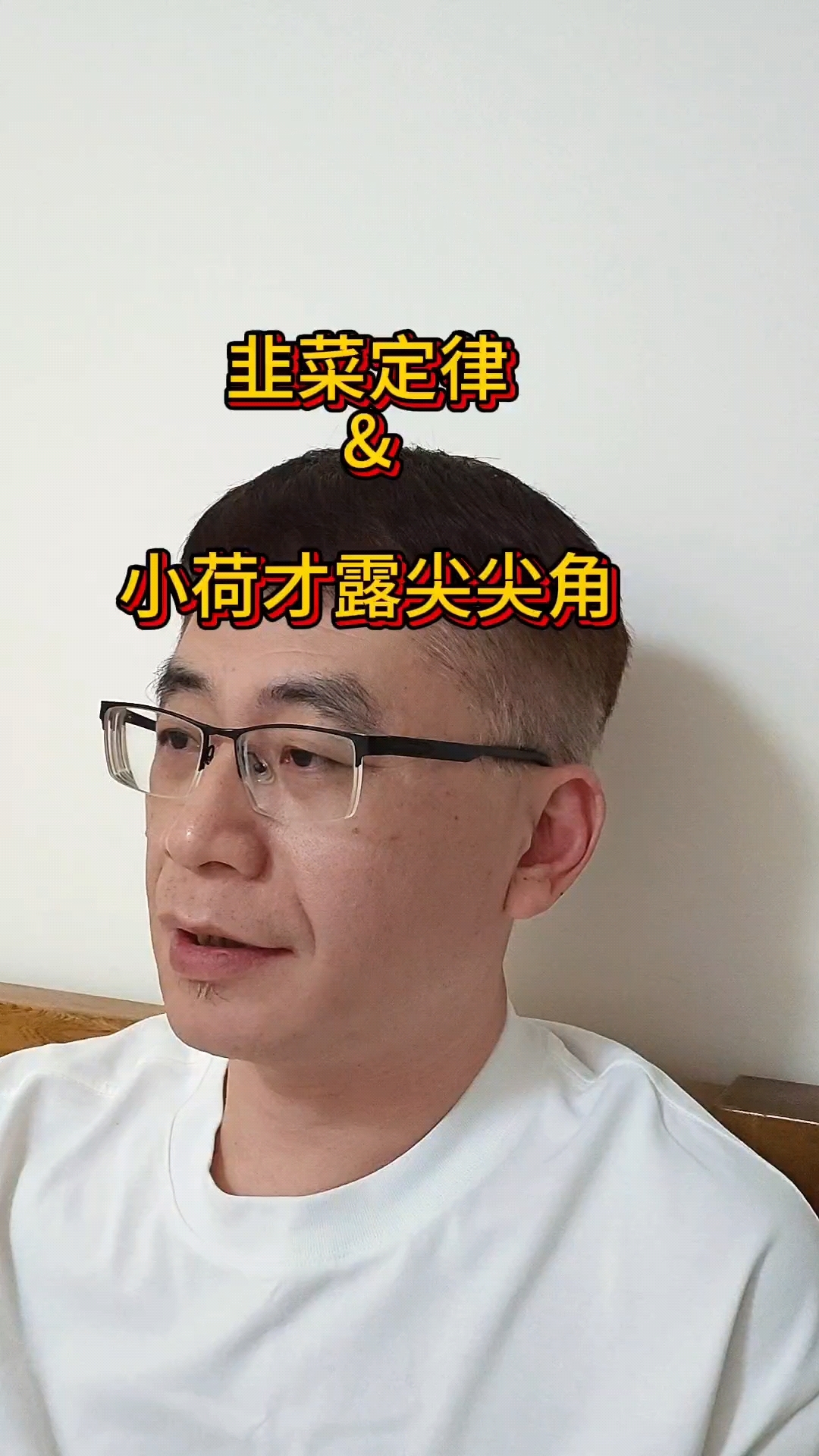小荷才露尖尖角,早有蜻蜓立上头。