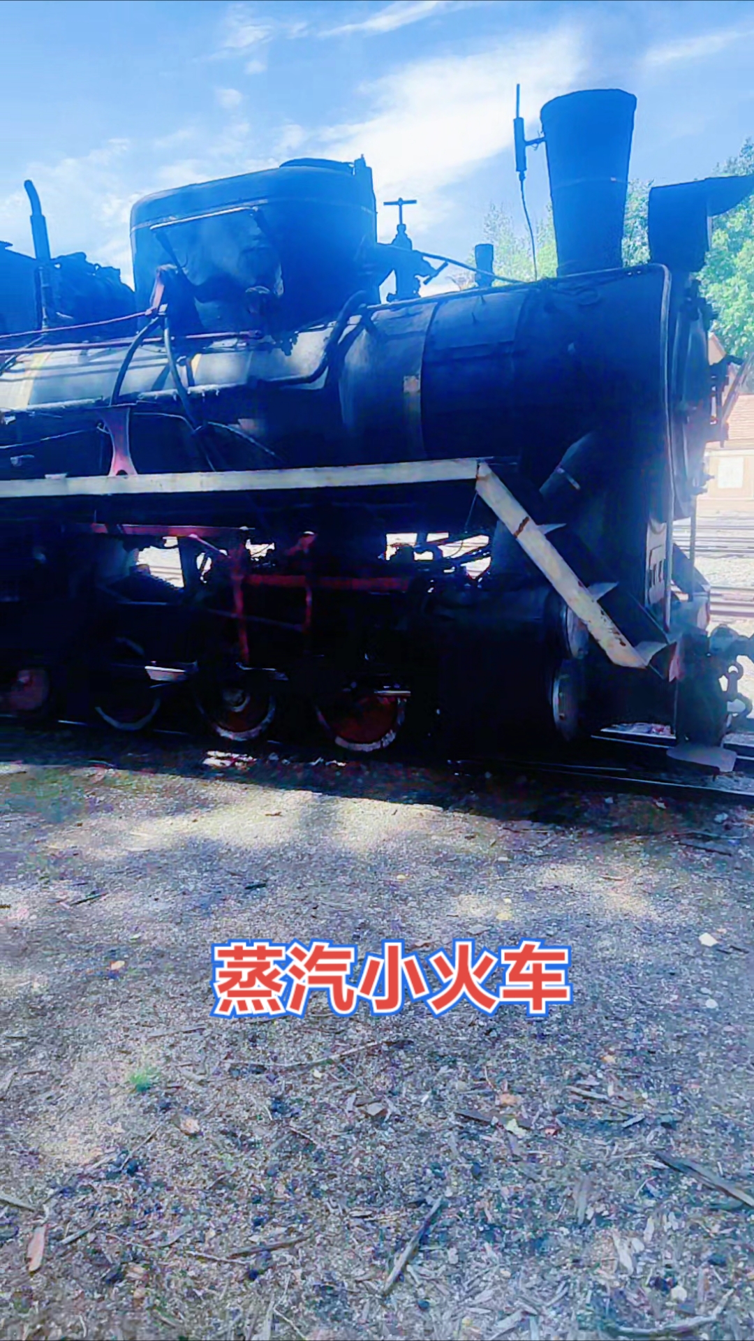 蒸汽小火车。