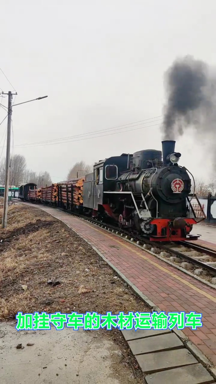 加挂守车的蒸汽小火车木材运输列车。