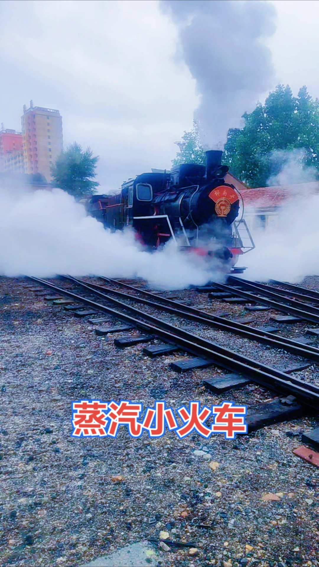 蒸汽小火车。