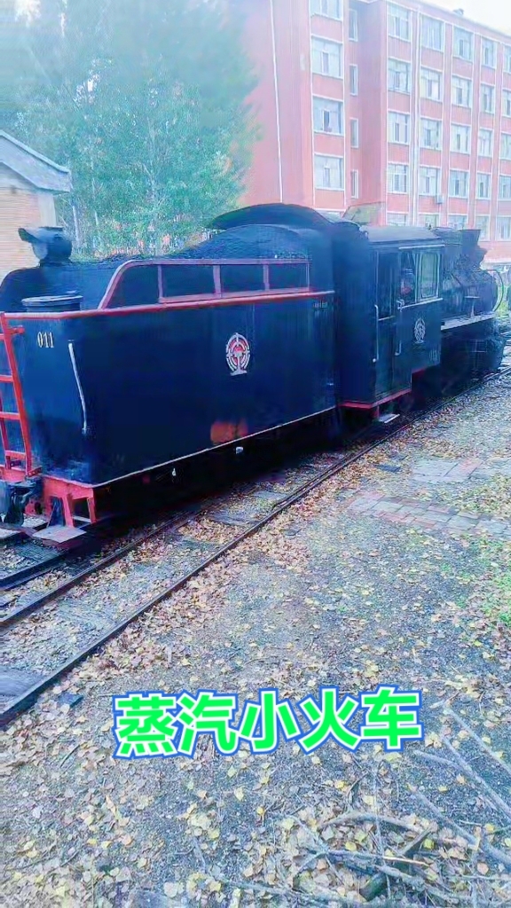 蒸汽小火车。