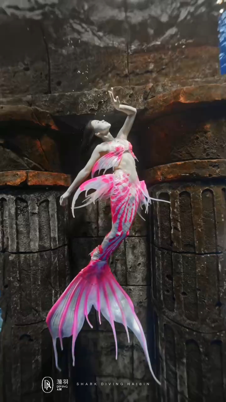 一定不要放弃 最好的东西总是压轴出场#潜羽美人鱼