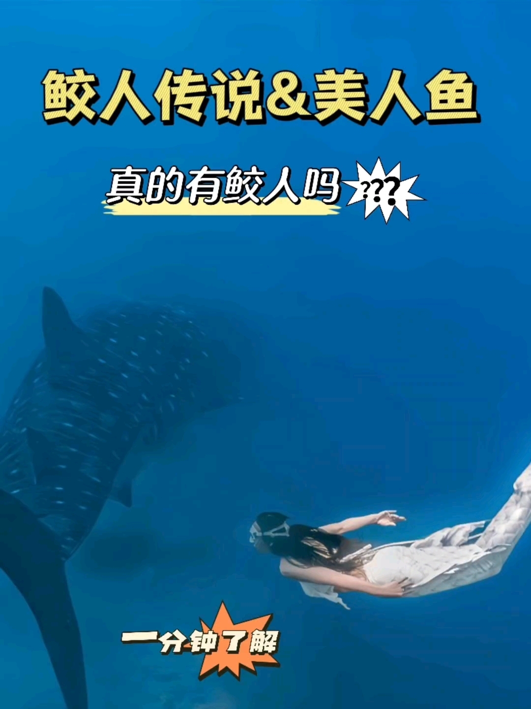 鲛人&美人鱼一分钟了解#美人鱼潜水#自由潜水#水肺潜水