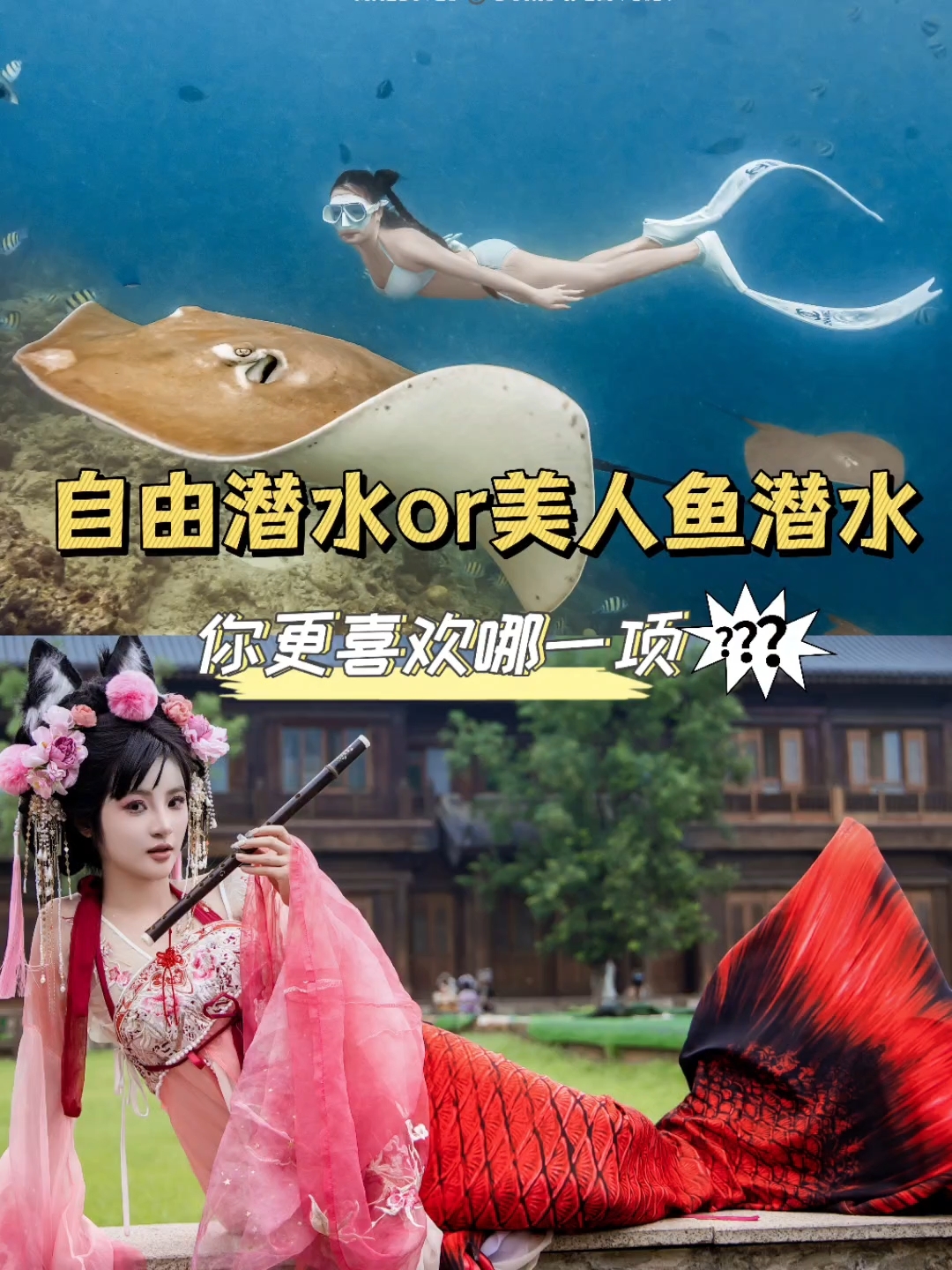 自由潜水or美人鱼潜水,更喜欢那一项?