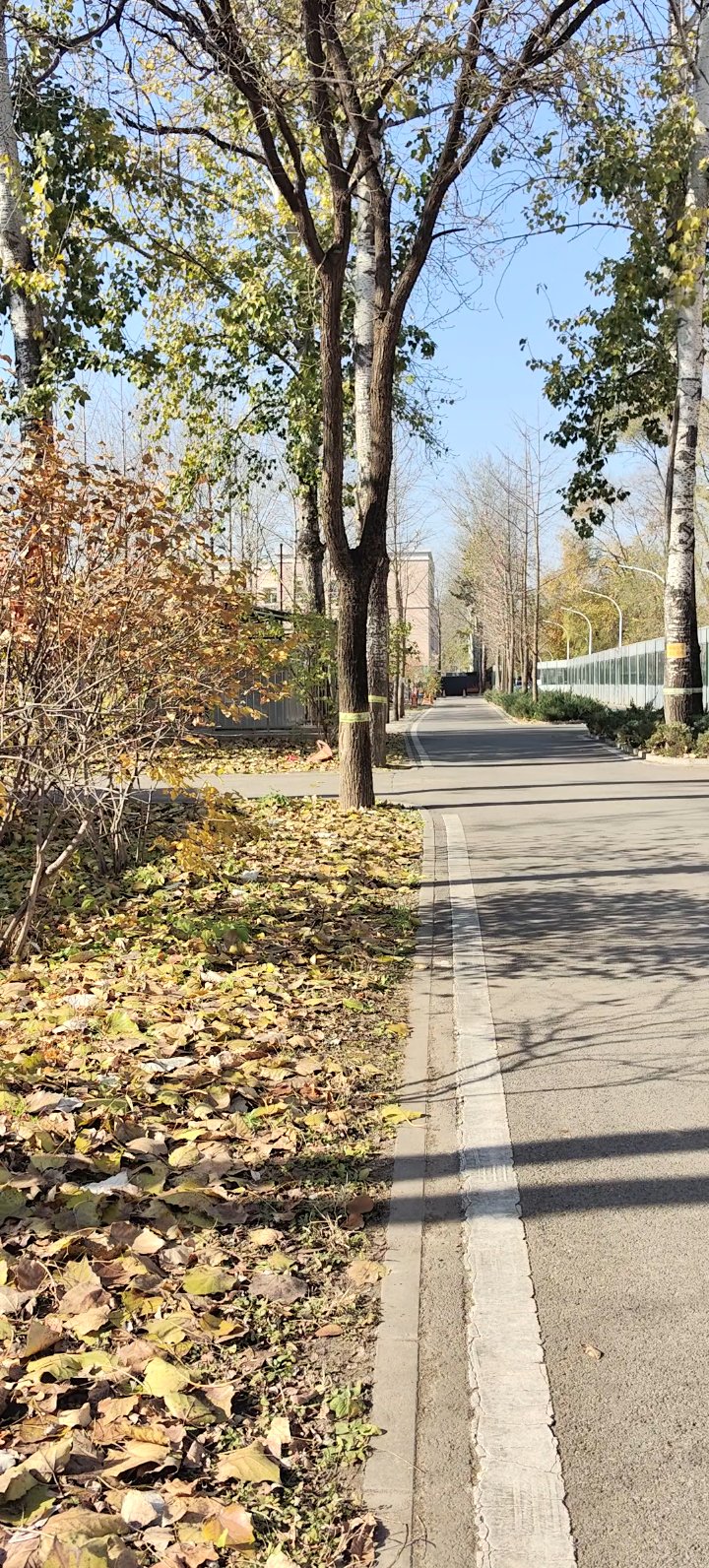 小汤山医院小林一角