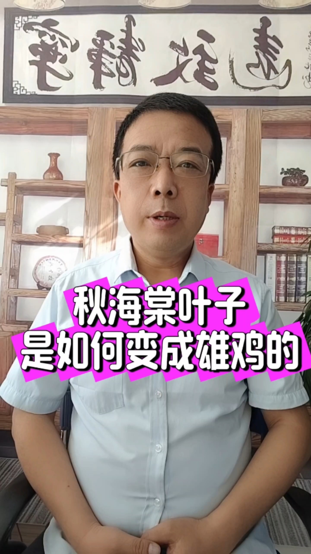 秋海棠叶子是如何变成雄鸡的?