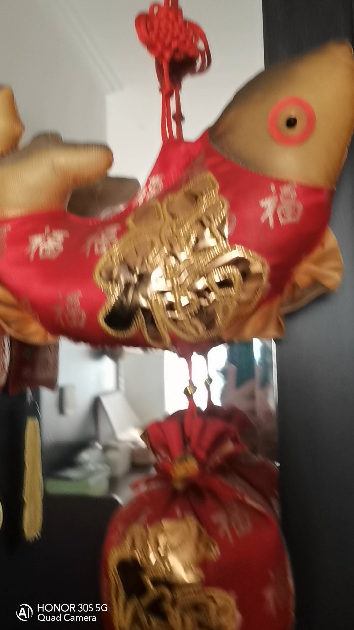 金鱼送福袋,年年有余