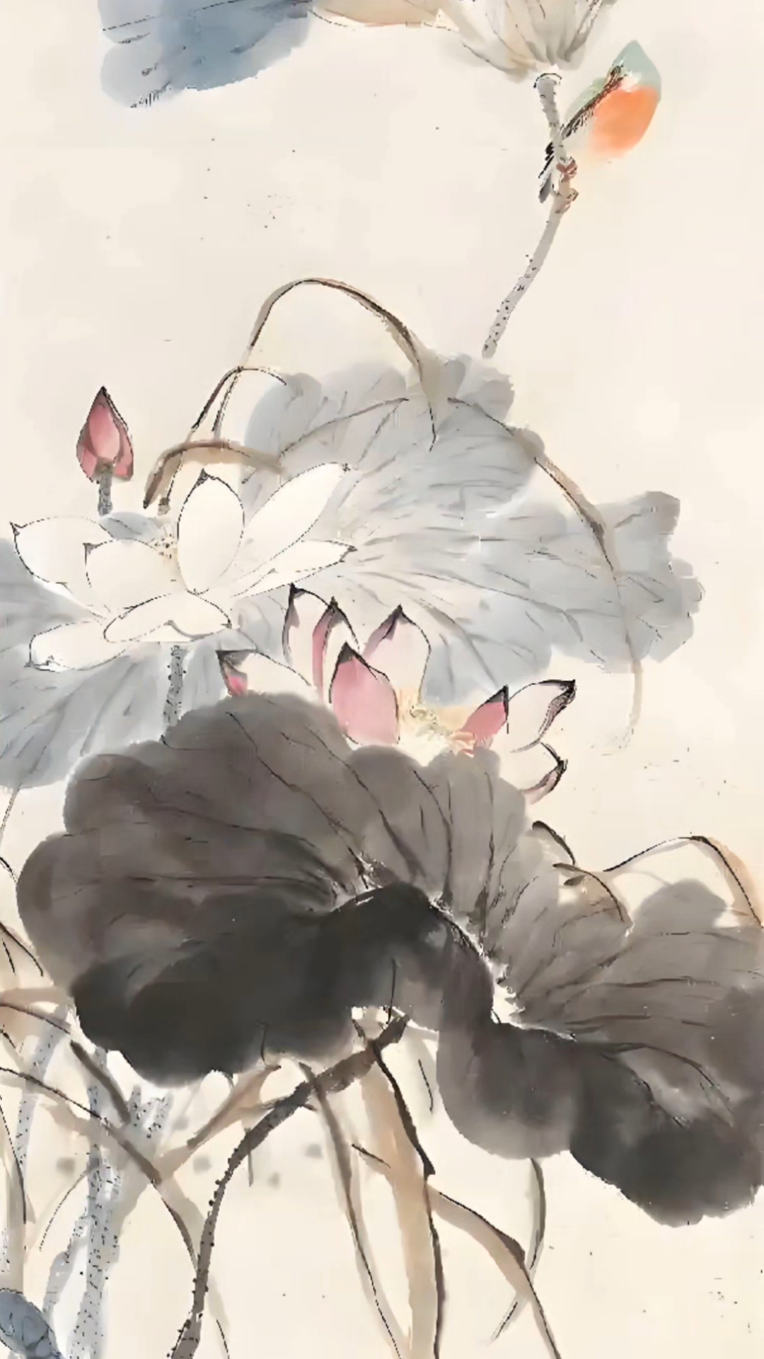 王雪涛先生的绝美荷花使人爱不释手!