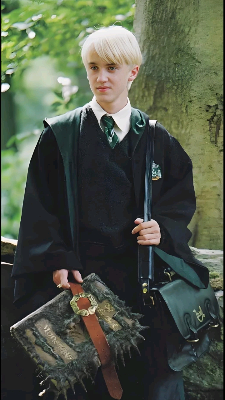 少爷!德拉科!甜汤!(汤姆·费尔顿)往后看有惊喜!