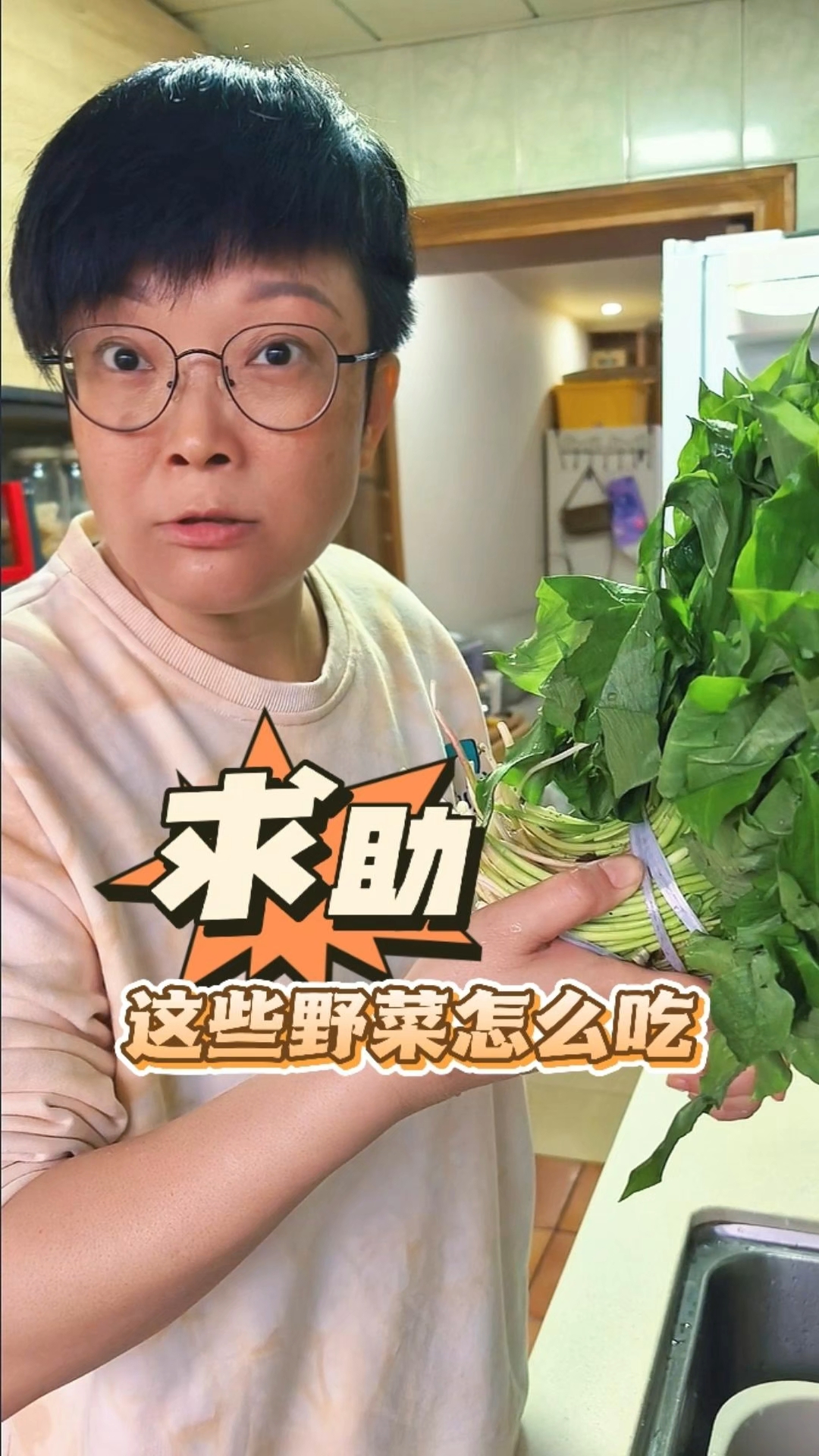 家人们,这些野菜该怎么吃啊?#夫妻日常搞笑#美味野菜#鹿耳韭饺子