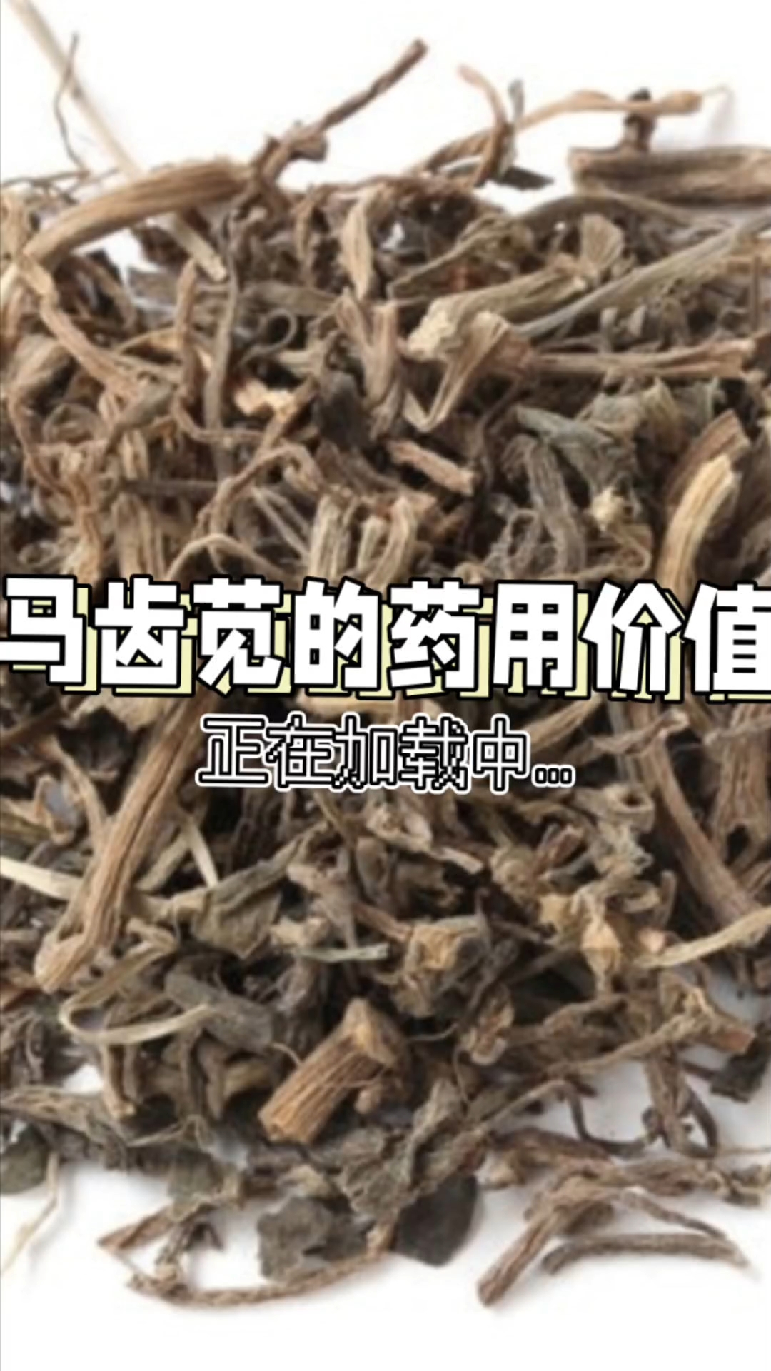 药食同源物质——马齿苋,它的药用价值,你了解了吗?