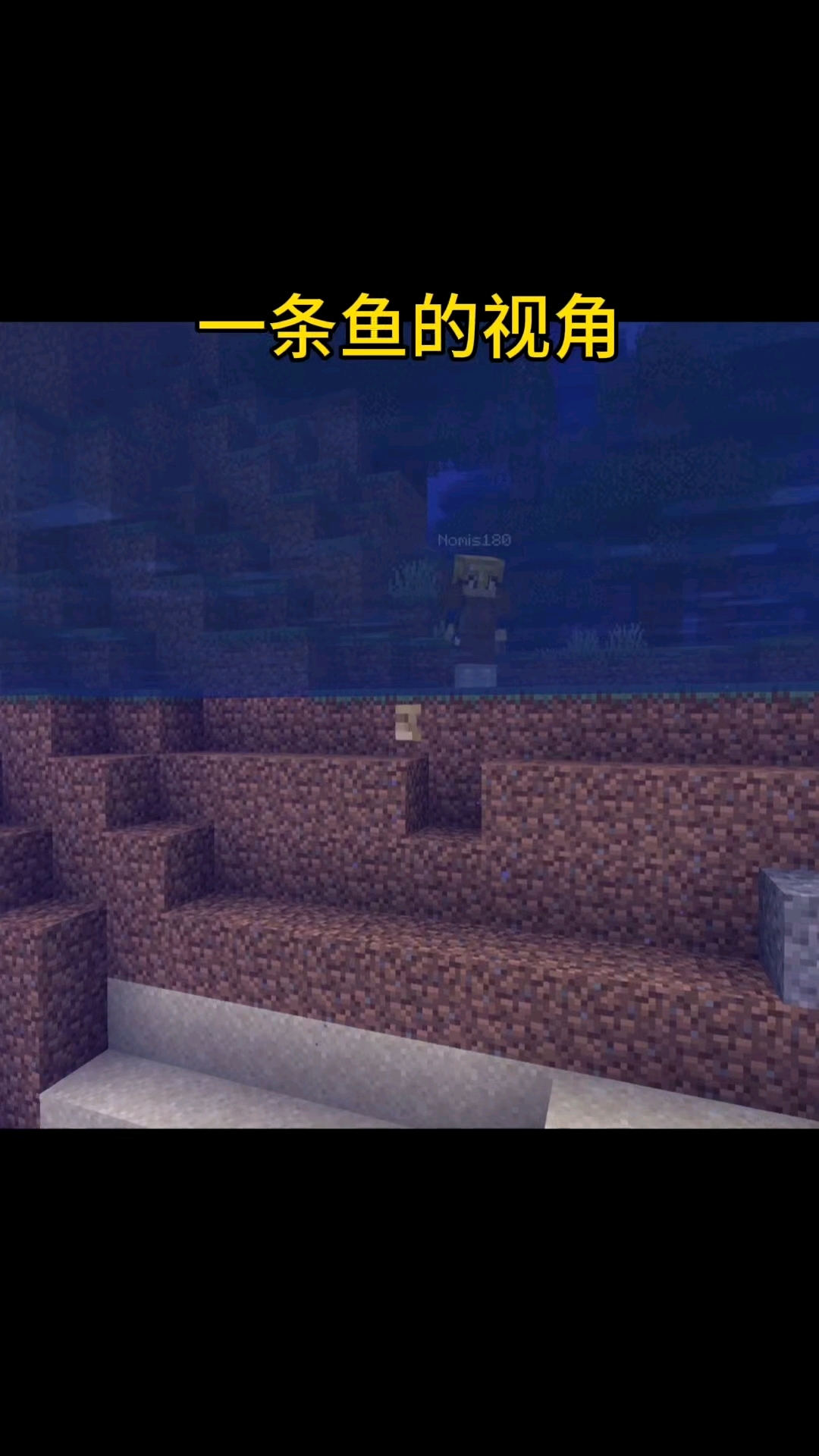 我的世界minecraft: 一条鱼的视角