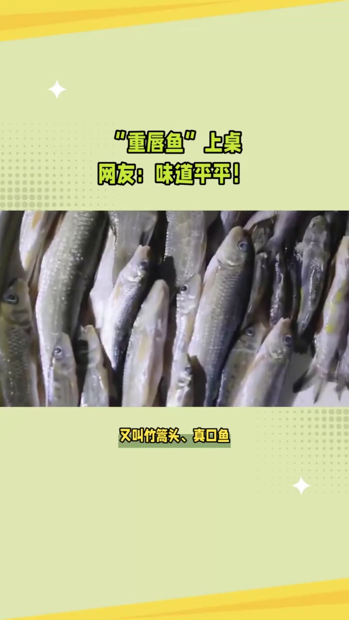 你说虫虫鱼好吃吗?