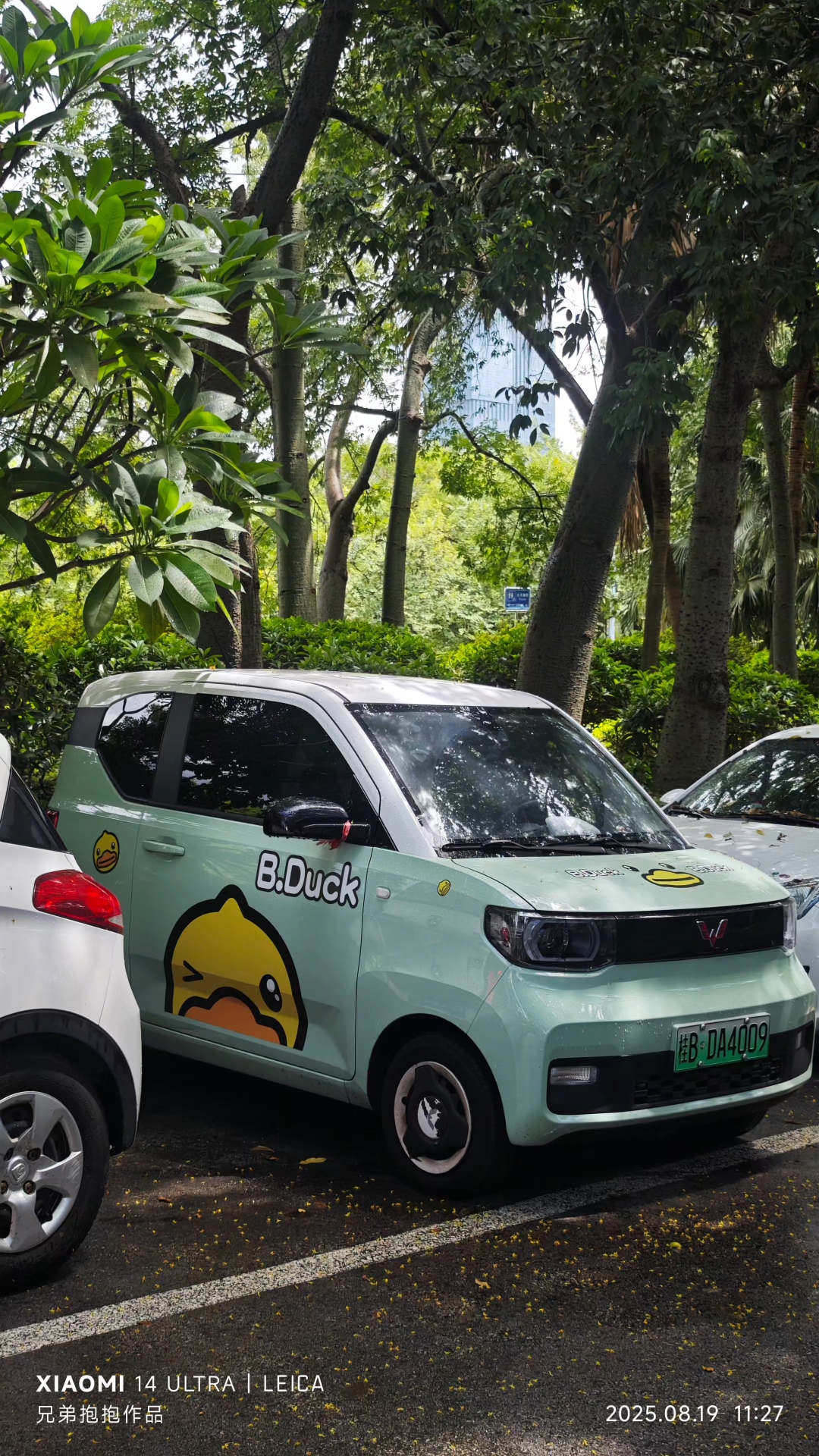 国内剁椒鱼头车最多的地方, 柳州#厉害了我的车 #汽车街拍