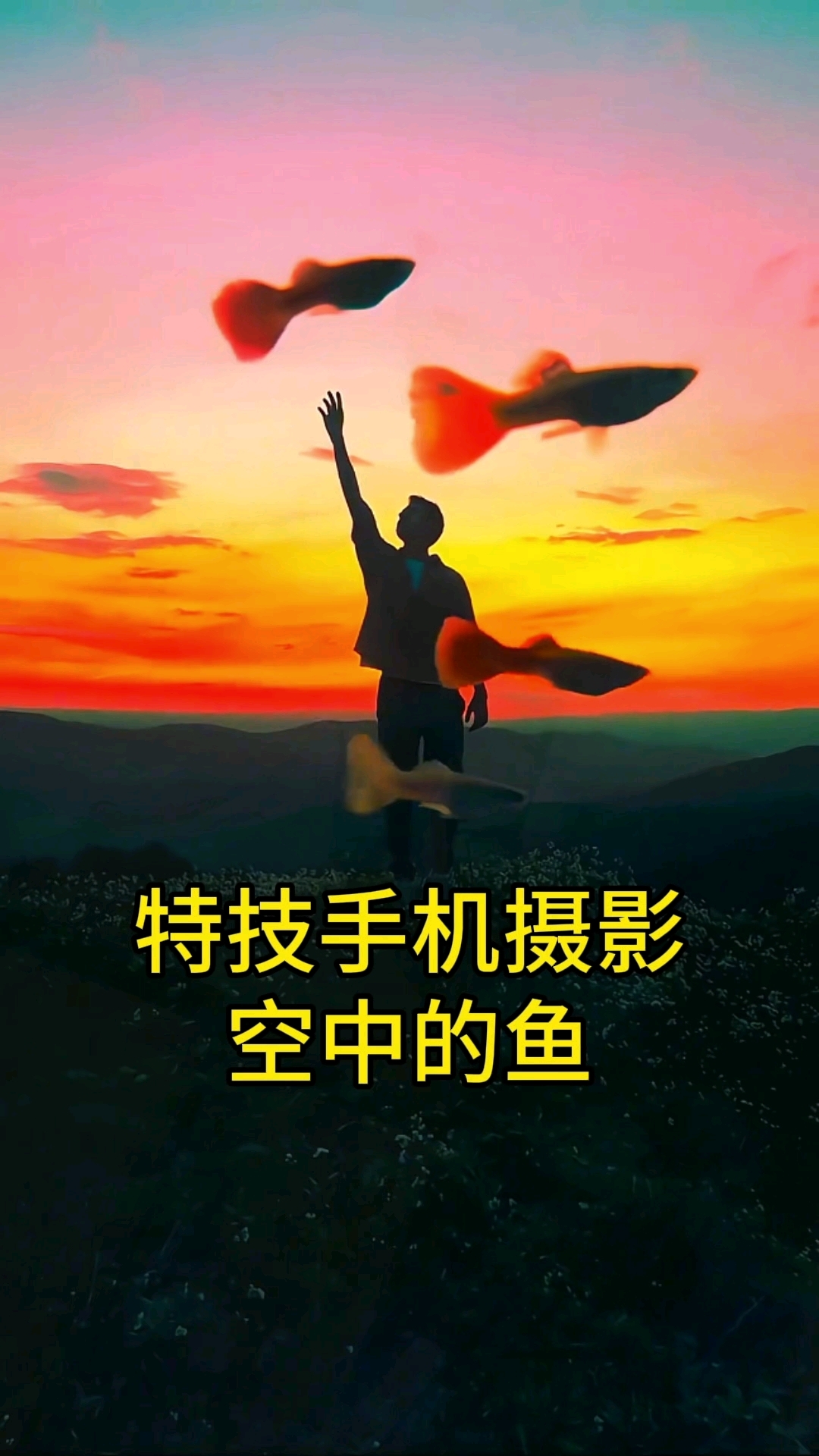 手机特技,摄影空中的鱼,创意摄影 #拍摄技巧 #手机摄影