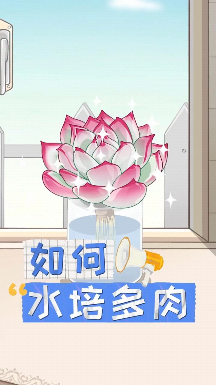 如何水培多肉植物
