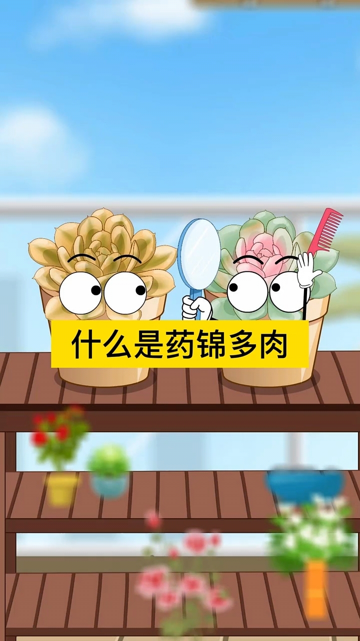 什么是药锦多肉?