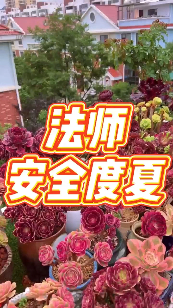 法师如何安全度夏