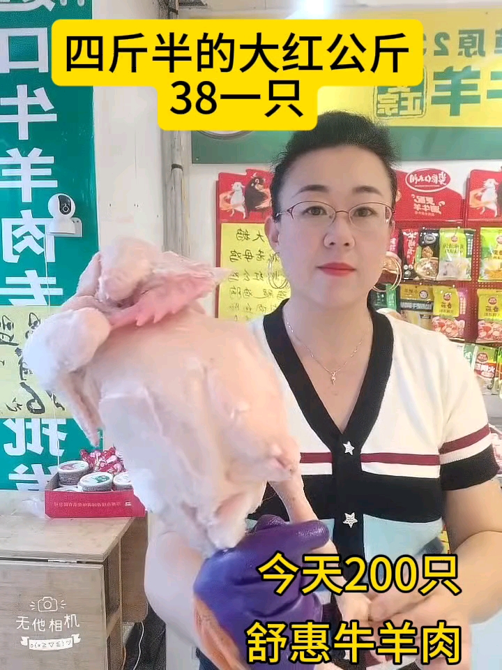 大红公鸡38一只